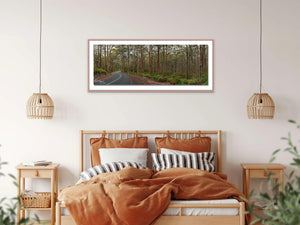 Boranup Forrest Panorama | boranup-forrest-panorama | Posters, Prints, & Visual Artwork | Inspiral Photography