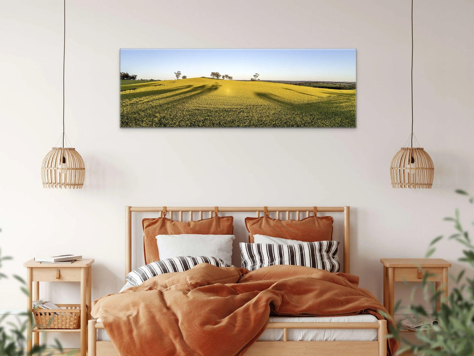 Canola Leading Lines | canola-leading-lines | Posters, Prints, & Visual Artwork | Inspiral Photography