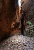 Echidna Entrance | product-1 | Posters, Prints, & Visual Artwork | Inspiral Photography