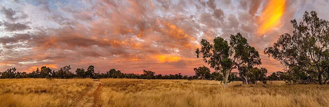 Farm Stay Epic | farm-stay-epic | Posters, Prints, & Visual Artwork | Inspiral Photography