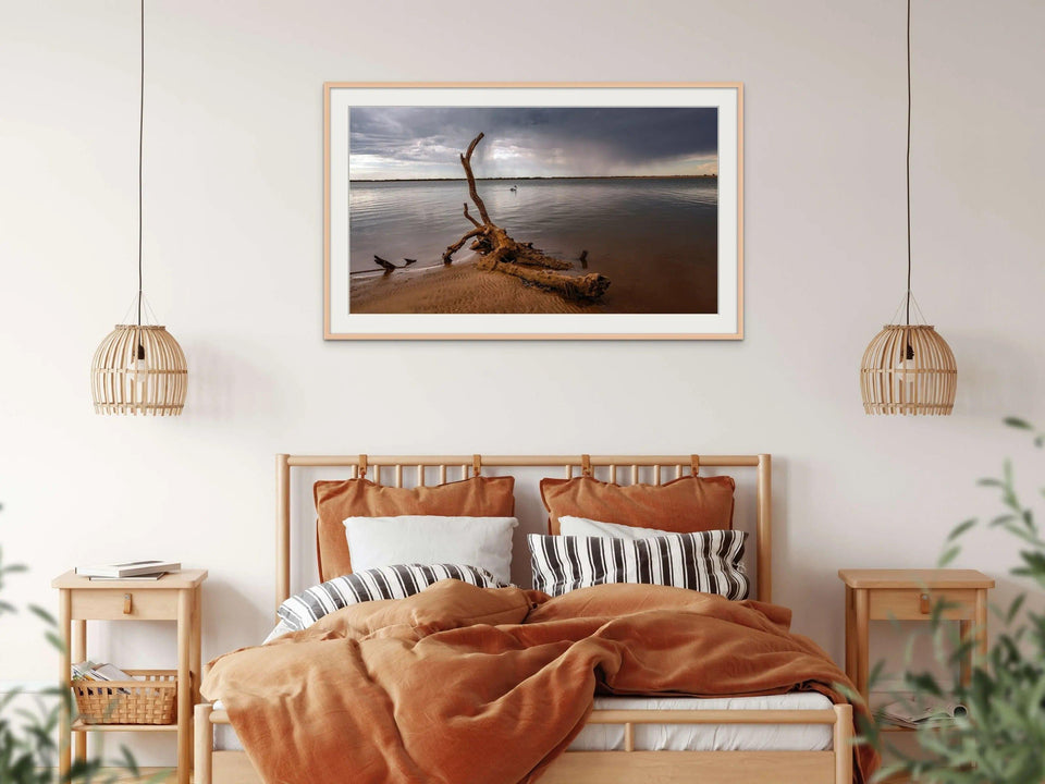 Pelican Log | pelican-log | Posters, Prints, & Visual Artwork | Inspiral Photography