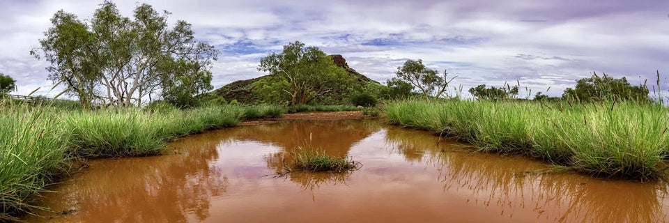 Puddle Panorama | puddle-panorama-1 | Posters, Prints, & Visual Artwork | Inspiral Photography