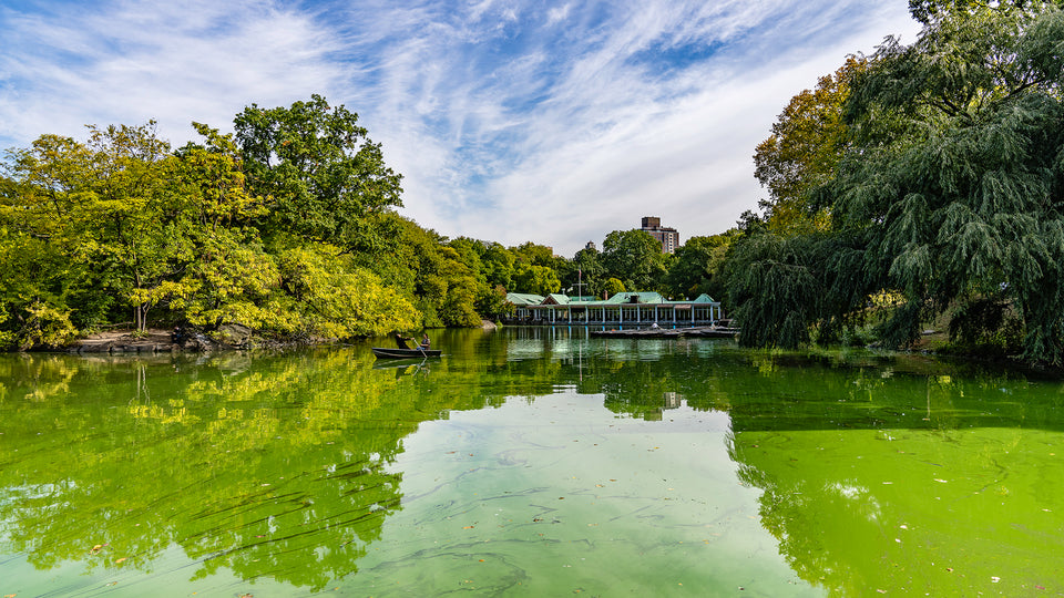 The Boathouse